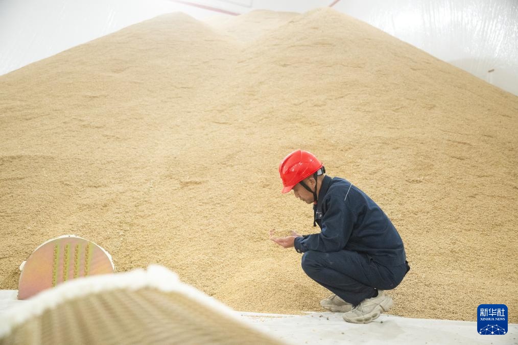 荆楚大地新粮收购有序展开