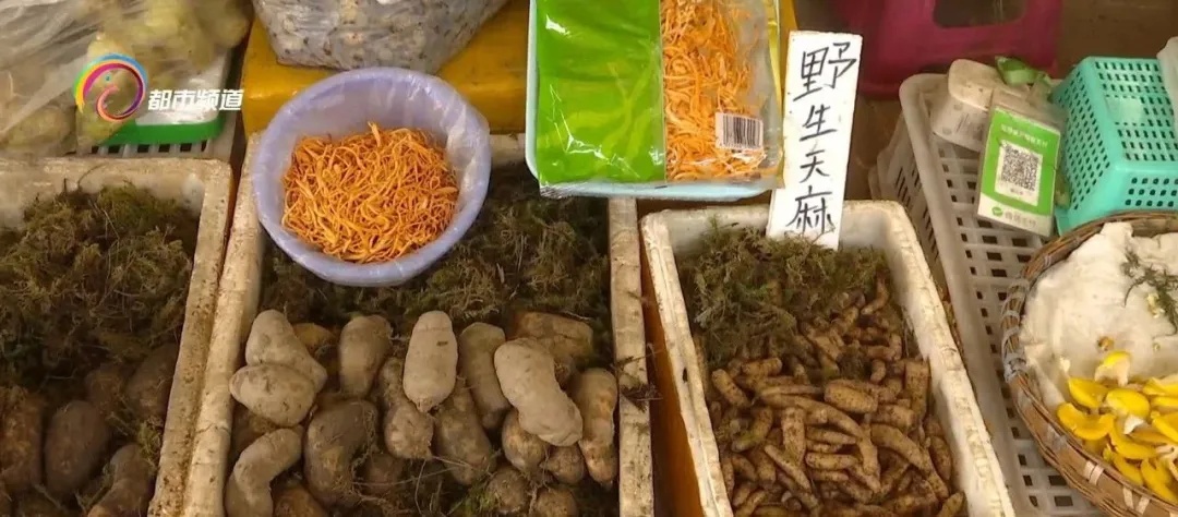 每公斤一百到七百元不等,这种美味在昆明市场大量上市! 每公斤一百到七百元不等,这种美味在昆明市场大量上市!