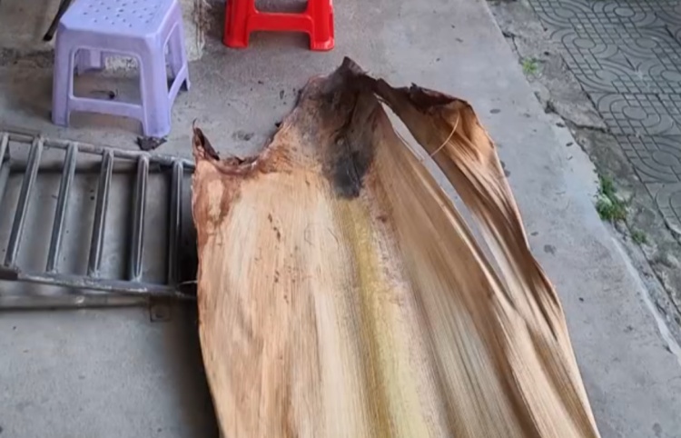 广东男子被树叶砸晕获赔2.2万