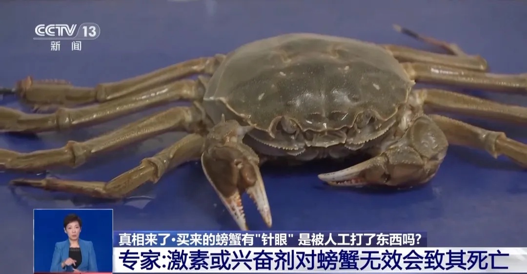 假的!假的!千万别信 假的!假的!千万别信