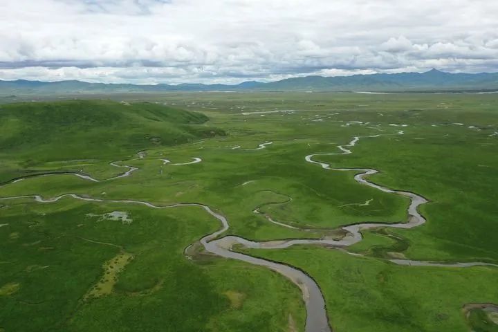 草原“好曼巴”王万青逝世