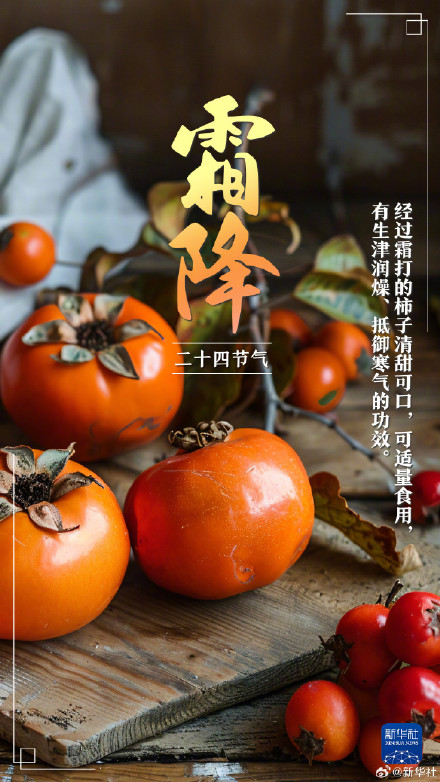 今日霜降,冬季将至 今日霜降,冬季将至