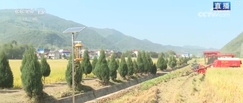 “小农户”对接“大服务” 创新机制助农增收 蹚出粮食丰产新路径