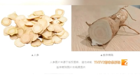 有毒，千万别吃！这种植物昆明也有！