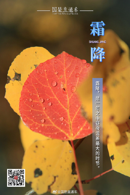 诗句中的24节气:今日霜降 诗句中的24节气:今日霜降