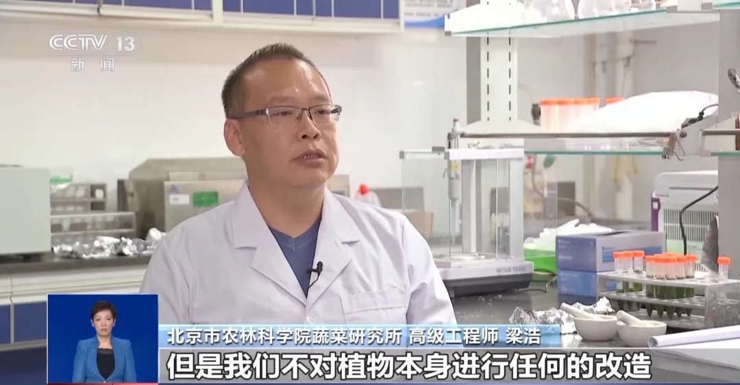 假的!假的!千万别信 假的!假的!千万别信