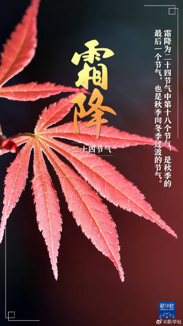 今日霜降,冬季将至 今日霜降,冬季将至
