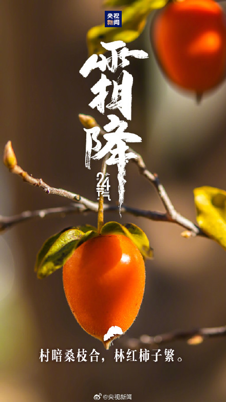 霜降开启了高饱和度的秋天