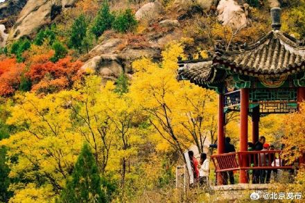 最佳观赏期!北京海淀这座山有着绝美秋景! 最佳观赏期!北京海淀这座山有着绝美秋景!