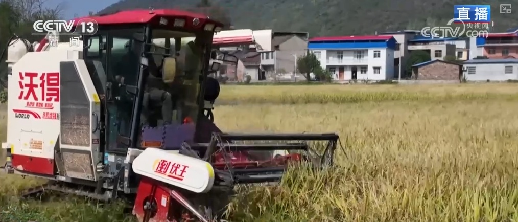 “小农户”对接“大服务” 创新机制助农增收 蹚出粮食丰产新路径