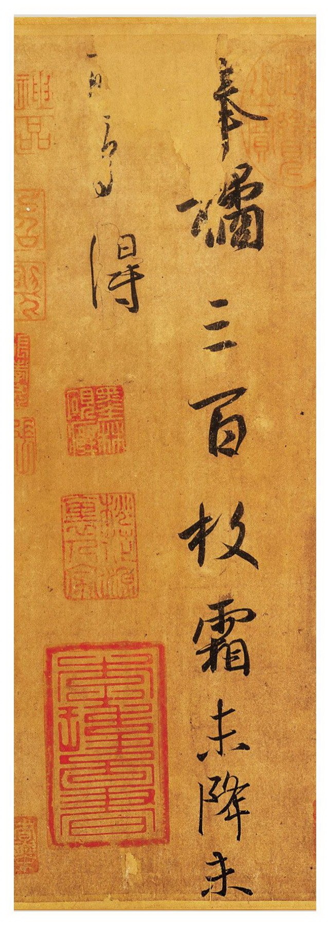 风物二十四节气｜霜降：清霜夜来白，古桕叶翻红