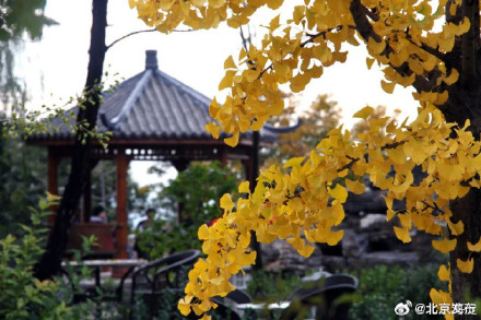 最佳观赏期!北京海淀这座山有着绝美秋景! 最佳观赏期!北京海淀这座山有着绝美秋景!