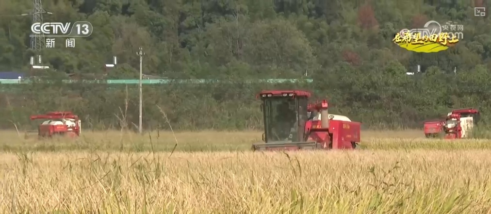 “小农户”对接“大服务” 创新机制助农增收 蹚出粮食丰产新路径