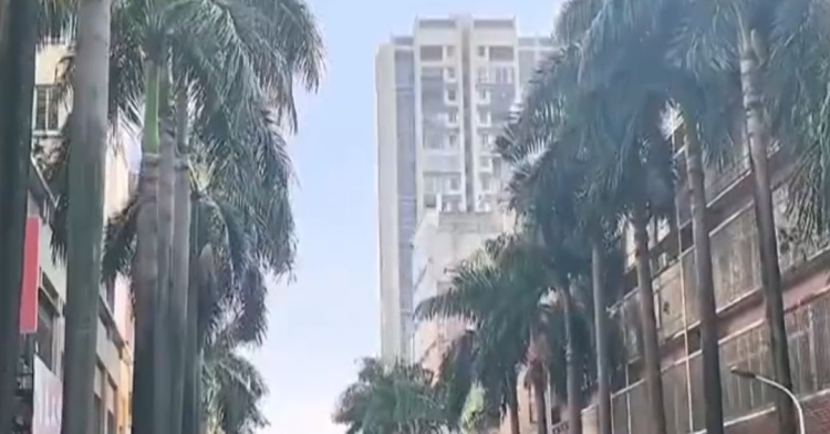 广东男子被树叶砸晕获赔2.2万