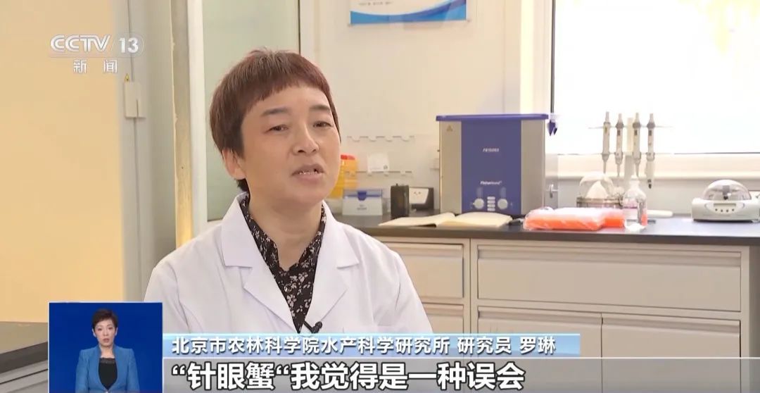 假的!假的!千万别信 假的!假的!千万别信