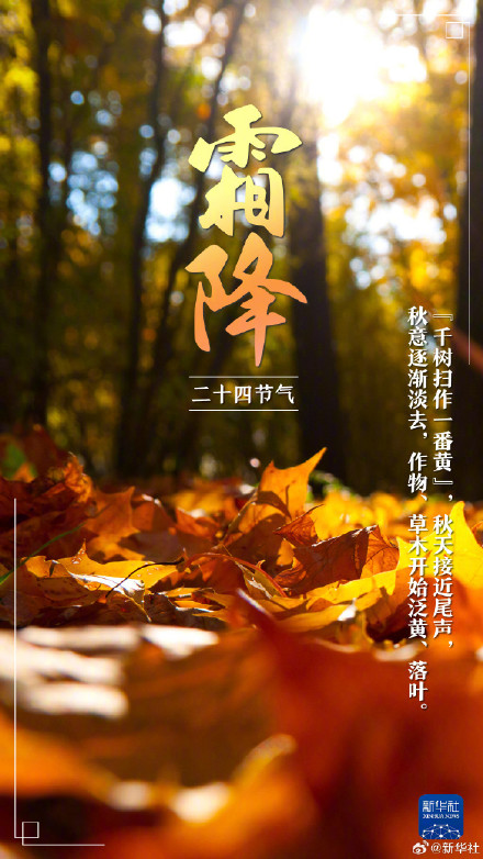 今日霜降,冬季将至 今日霜降,冬季将至