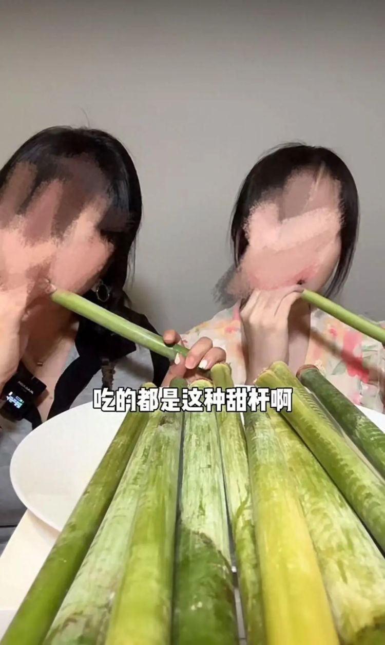 吃“甜杆”成吃播流量新密码,《博物》提醒:“红芯”不能吃 吃“甜杆”成吃播流量新密码,《博物》提醒:“红芯”不能吃