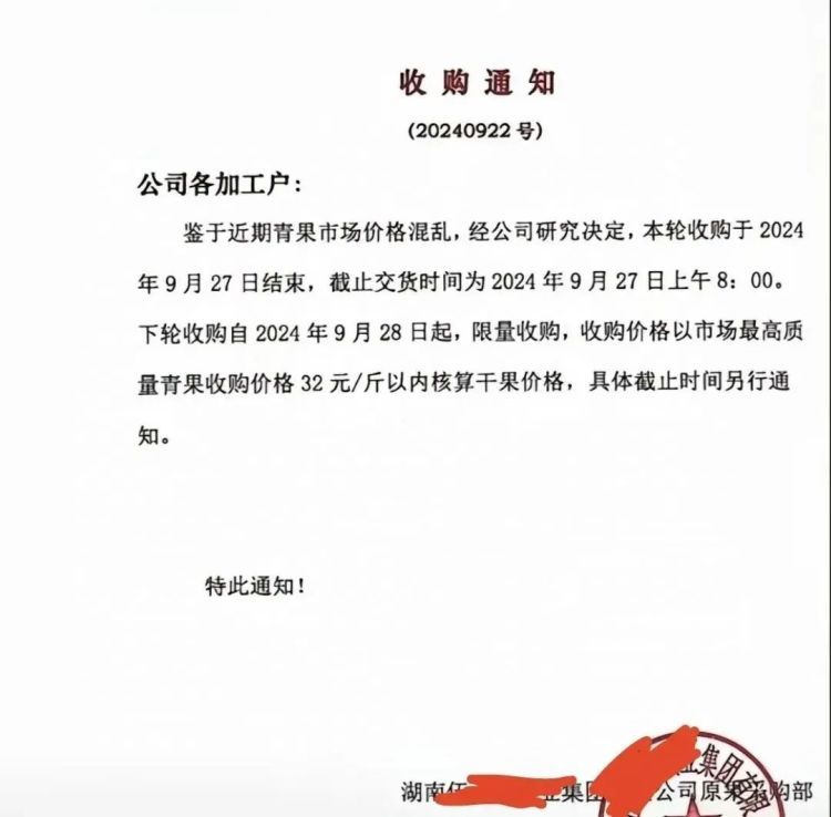 海南槟榔收购价上涨至历史高位，收购商：近期有回落趋势