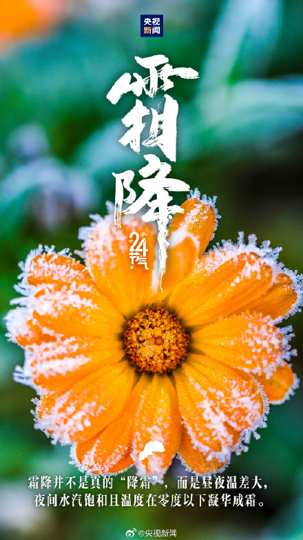 霜降开启了高饱和度的秋天