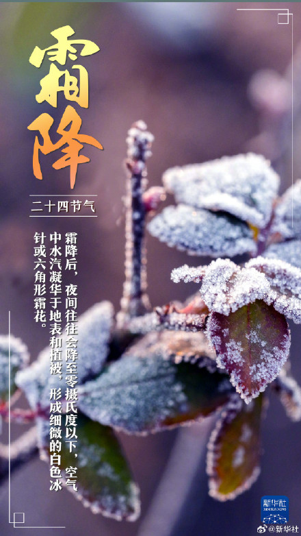 今日霜降,冬季将至 今日霜降,冬季将至