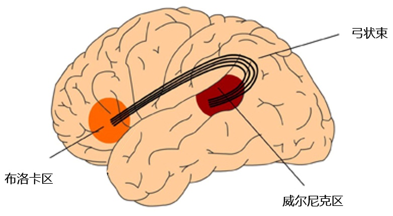为什么我一紧张就口吃啊啊啊啊啊？！！！