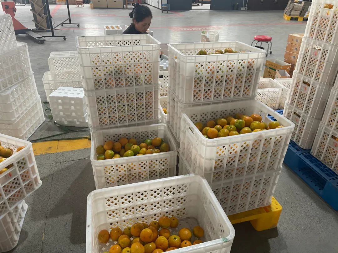 价格大涨！台州人超爱的这一口，正在上市