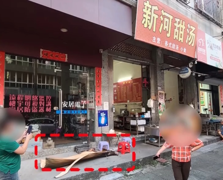 广东男子被树叶砸晕获赔2.2万