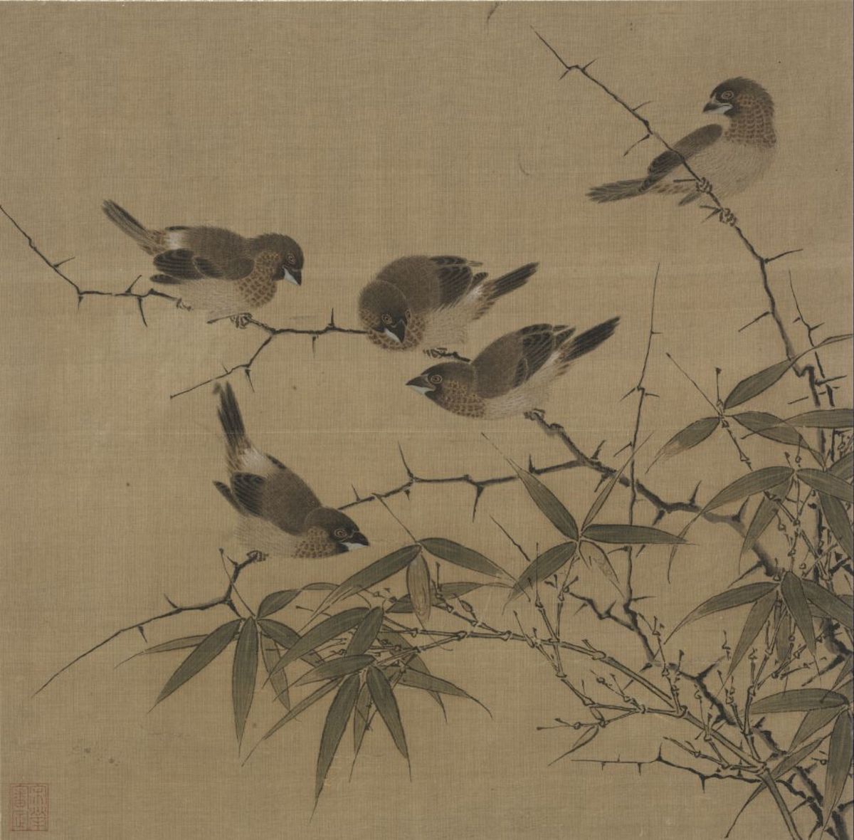 风物二十四节气｜霜降：清霜夜来白，古桕叶翻红