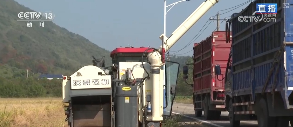 “小农户”对接“大服务” 创新机制助农增收 蹚出粮食丰产新路径