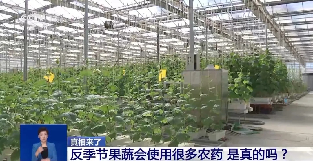 假的!假的!千万别信 假的!假的!千万别信