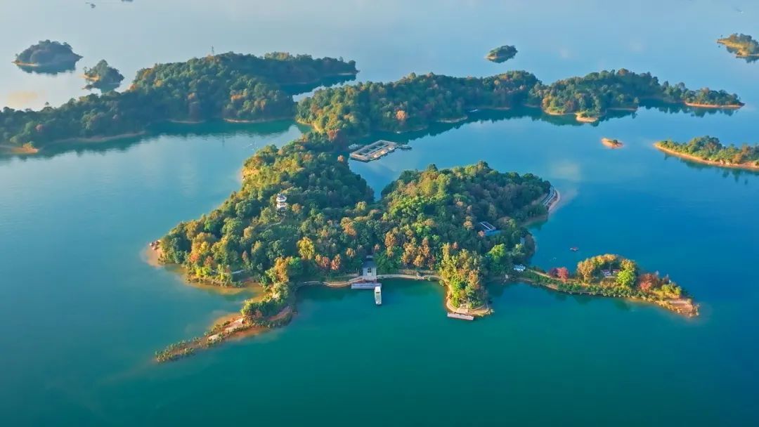 霜降 | “柿柿”如意！看，河源上饶联手绘就一幅晚秋画卷