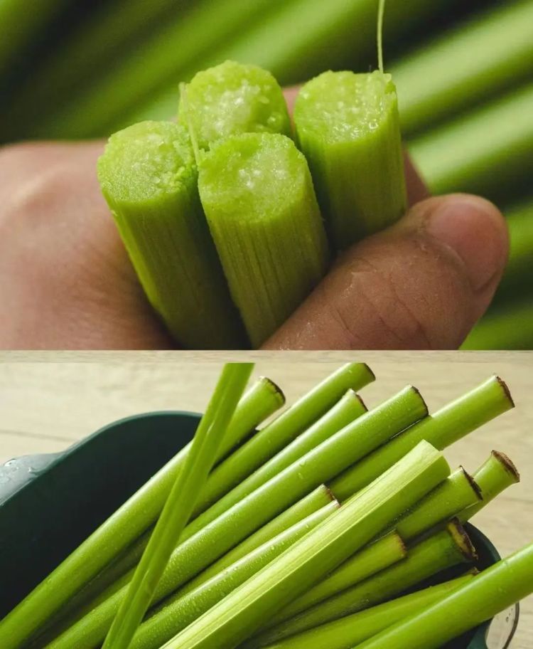 吃“甜杆”成吃播流量新密码,《博物》提醒:“红芯”不能吃 吃“甜杆”成吃播流量新密码,《博物》提醒:“红芯”不能吃