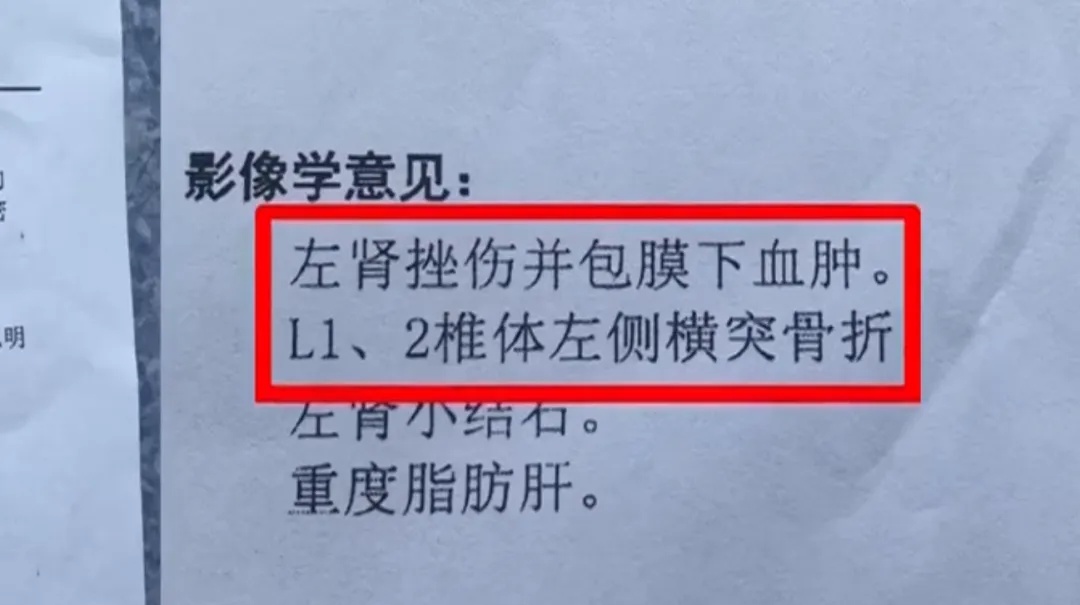 树叶掉落威力有多大？广东男子被砸晕获赔2.2万