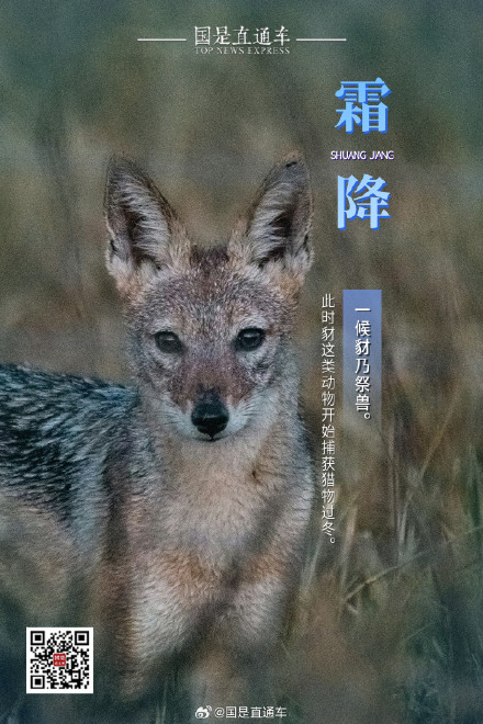 诗句中的24节气:今日霜降 诗句中的24节气:今日霜降