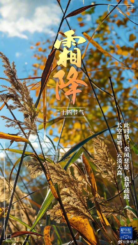 今日霜降,冬季将至 今日霜降,冬季将至
