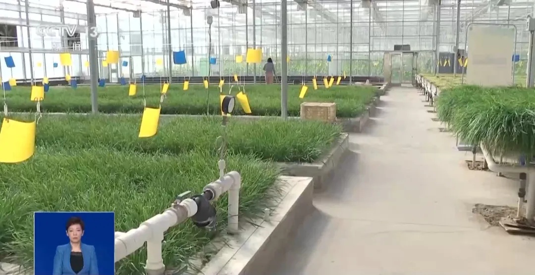 假的!假的!千万别信 假的!假的!千万别信