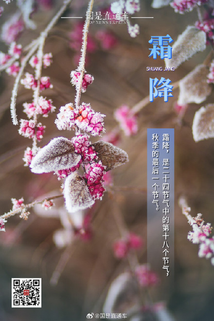 诗句中的24节气:今日霜降 诗句中的24节气:今日霜降