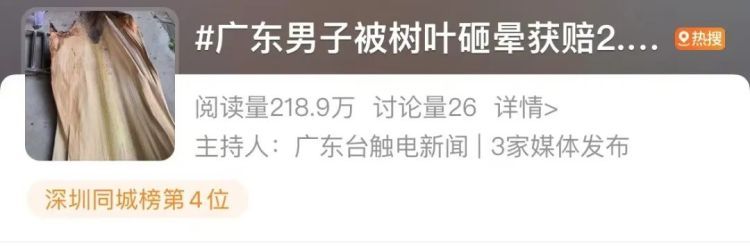 广东男子被树叶砸晕获赔2.2万