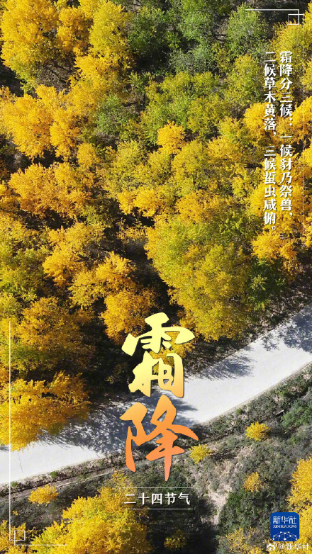 今日霜降,冬季将至 今日霜降,冬季将至