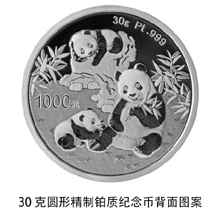 2025版熊猫纪念币