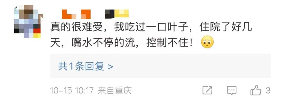 男孩误食险些猝死！广东很多地方都有种植......