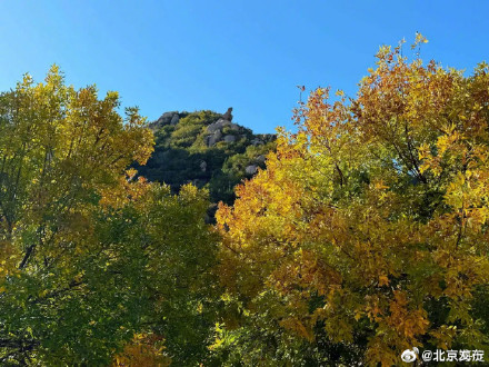 最佳观赏期!北京海淀这座山有着绝美秋景! 最佳观赏期!北京海淀这座山有着绝美秋景!