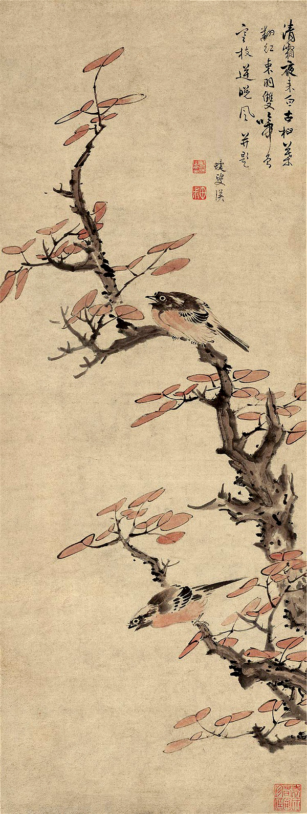 风物二十四节气｜霜降：清霜夜来白，古桕叶翻红