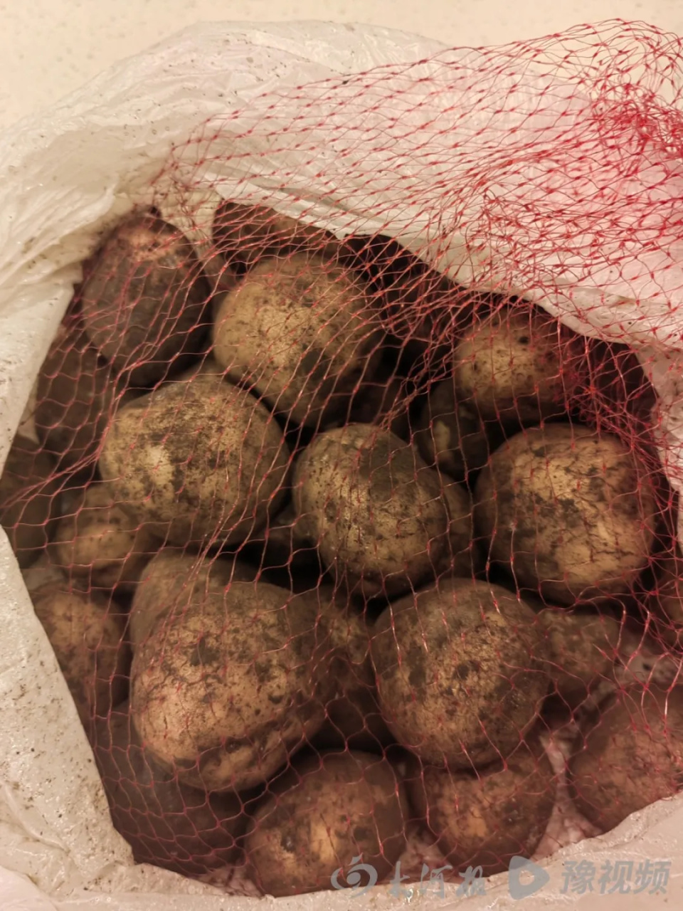 董宇辉究竟有没有说是有机土豆?供应商、文旅局、市监局回应 董宇辉究竟有没有说是有机土豆?供应商、文旅局、市监局回应