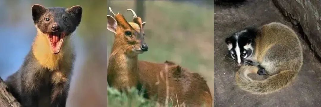 都跟你说了，哀牢山别瞎去！