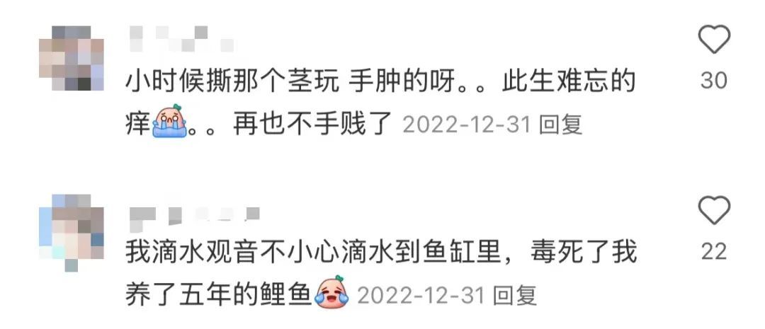 男孩误食险些猝死！广东很多地方都有种植......