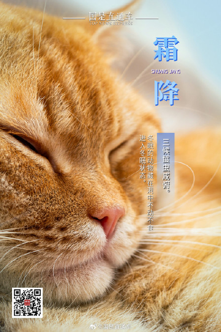 诗句中的24节气:今日霜降 诗句中的24节气:今日霜降