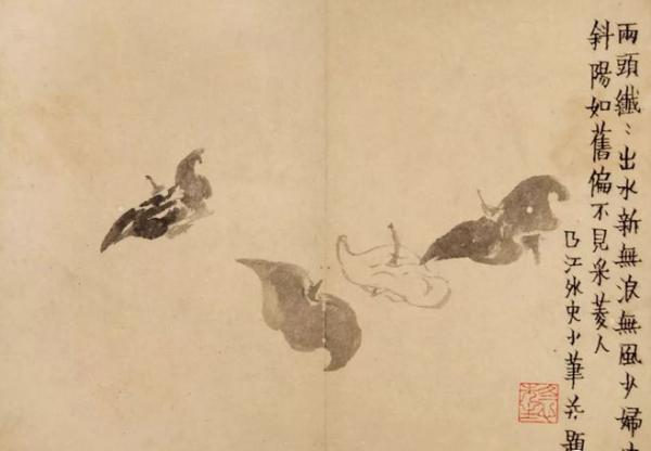 风物二十四节气｜霜降：清霜夜来白，古桕叶翻红