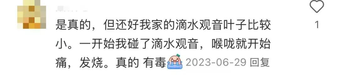 男孩误食险些猝死！广东很多地方都有种植......