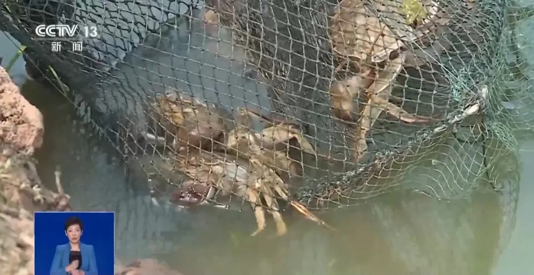 假的!假的!千万别信 假的!假的!千万别信